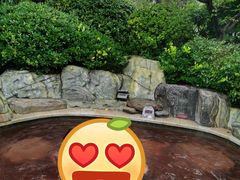 -郑州银基黄帝宫御温泉