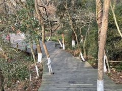 -天目湖山水园