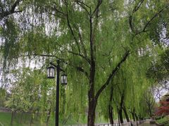 -西安市广仁寺