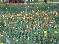 园区一角-长春公园(普阳街道)