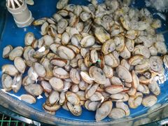 -仙螺岛海鲜自助餐厅(总店)
