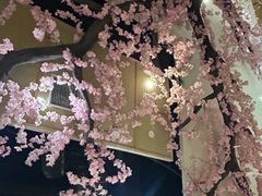 -上尚汤汤泉汗蒸(空港复悦里店)