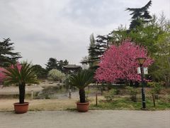 -香山公园