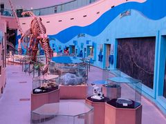 -陕西自然博物馆