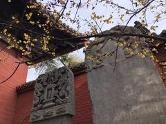 -洛阳白马寺