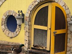 -南宫五洲植物乐园