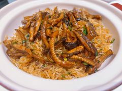 -侨美·唐荔园·40年地道粤菜