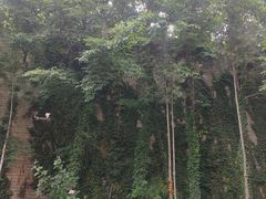 -西安关中民俗艺术博物院