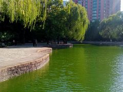 -团结湖公园