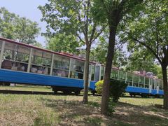 -武清南湖绿博园