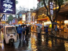 -老徐家柿子饼(北广济街店)