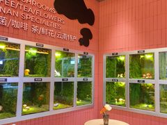 -芸山季·云南野生菌火锅(宝能环球汇店)