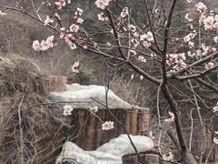 -秋沟风景区
