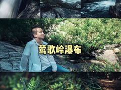-海南霸王岭国家森林公园