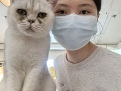 -平行世界·猫咖(首经贸店)