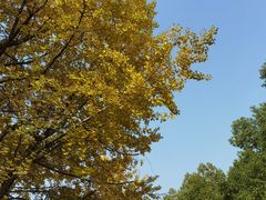 -苏州河梦清园环保主题公园