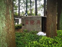 -枫泾古镇-人民公社旧址