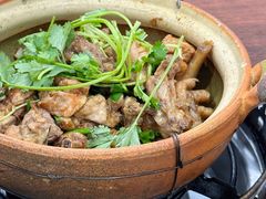 -华仔土鸡店(南洲分店)