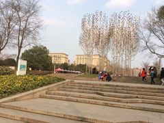 -白鹭湾湿地公园