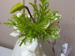 -郭大侠春饼.小海鲜(奉天街店)