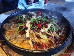 -老板恋上鱼(恒隆广场店)