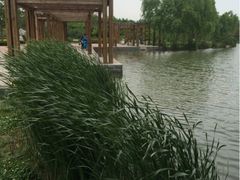 iphone_upload_pic-郑州植物园