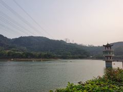 -水濂山森林公园