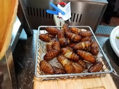 -鸽子窝(青塔店)