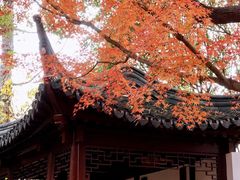 -秋霞圃