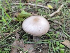 -野鸭湖国家湿地公园