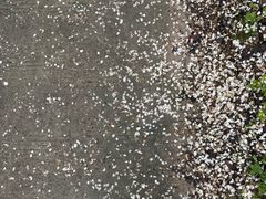 -樱桃山旅游景区