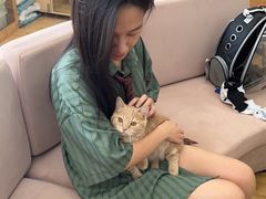 -喵百万·布偶·蓝金金渐层英短·猫舍(百子湾店)