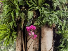 -深圳国际园林花卉博览园