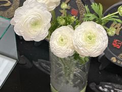 -墨茉点心局(国金街店)