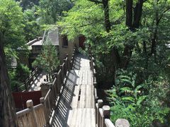 -延安杨家岭革命旧址