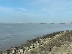 -上海滨江森林公园