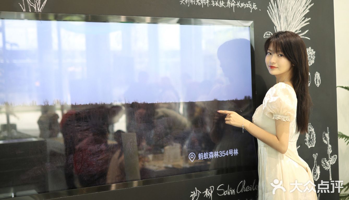 杭州周末好去处｜打卡蚂蚁🐜森林现场版