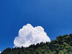 -好吃鬼高原牦牛杂火锅(古尔沟分店)