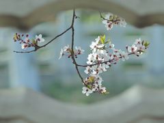 -汉长安城未央宫国家考古遗址公园