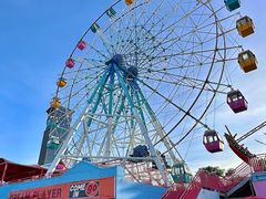 -巨鹏飞梦幻海岸