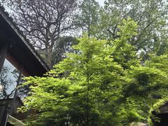 -Metal hands·铁手咖啡