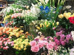 鲜花-T11生鲜超市(朝阳公园店)