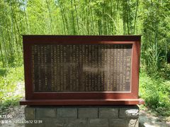 -黄海国家森林公园