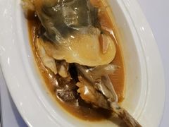 河豚-同庆楼(大钟寺店)