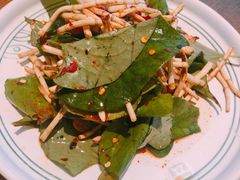 凉拌折耳根-云海肴·汽锅鸡·云南菜(苏州中心店)