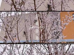 -徐家汇公园