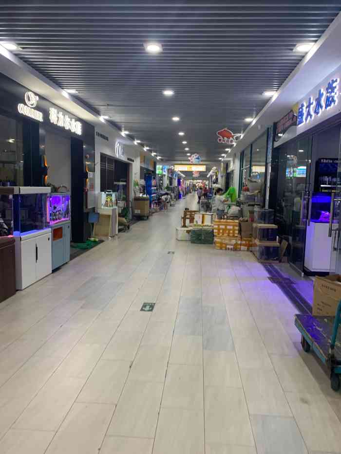芳村花鸟鱼虫新世界-"屋企附近新搬家过来的新花鸟虫95一条街….