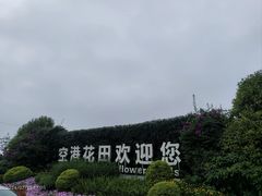 -空港花田景区