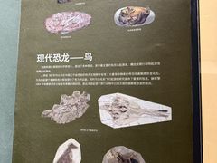 -衢州市博物馆