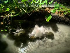 -水悦汇